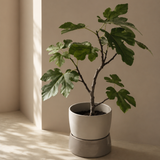 Two Tone Planter Floor, Large - Artichoke green